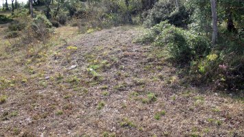 Larras II este tumulua 1, Zigoitia