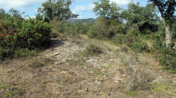 Larras II este tumulua 12, Zigoitia