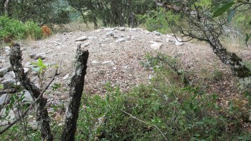 Larras II tumulua 15, Zigoitia