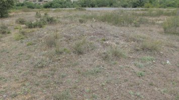 Artebalsa tumulua 2, Zigoitia