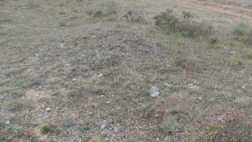 Artebalsa tumulua 10, Zigoitia