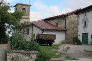 Andra Maria eliza, Andoin