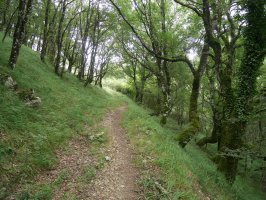 Argaingo hegian gora