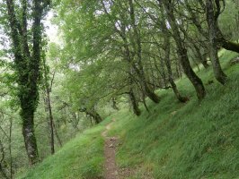 Argaingo hegian gora