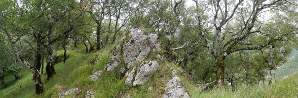 Argain gainerako bidea