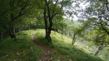 Ergako igoera Latasa aldetik