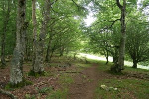 Ergako Latasa aldeko igoera