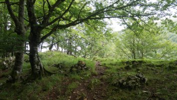 Artola gainera heltzen