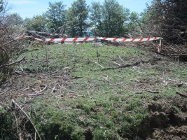 Estropicio  Dólmen Gaztanbidea    (Agosto 2014)