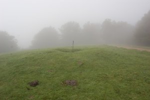Dólmen Gaztanbidea  (Junio   2009) Foto de J.M.Martínez Txoperena