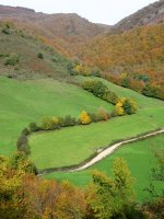 Zugarraundiko bailara