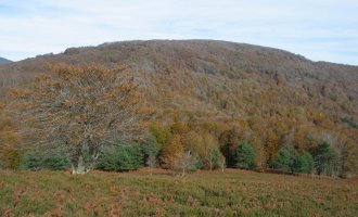 Urdanatz aldetik ikusita