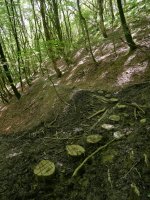 Errekasto lohitsu bat pasatzeko harpausoak GR20an