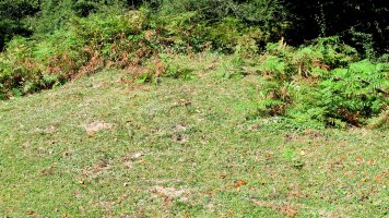 Larrakarte tumulua, Urbasa