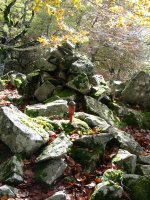 Txartelontzia Urdanatz tontorrean