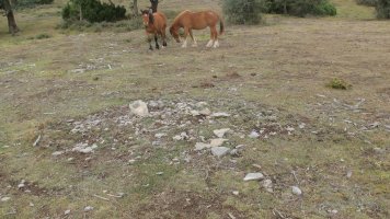 Peña Eskolunbe tumulu 4, Badaia mendikatea