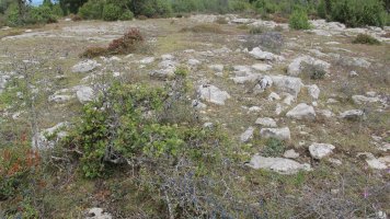 Torrogoitia este tumulua, Badaia mendikatea