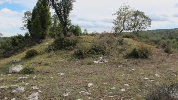 Alto de las Chozas trikuharria