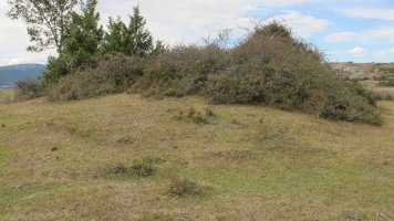 Portillo de Eza 1 tumulua, Badaia mendikatea