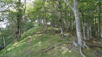 Azimendiko bizkarreko bidea