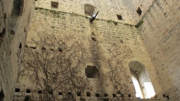 Kondestablearen Dorrea, Fontetxa