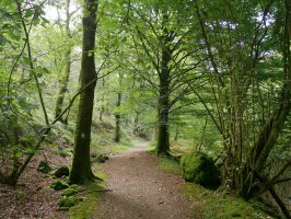 Enbidoko trenbide zaharraren arrastoa