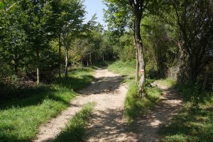 GR11 bidea San Martzialeko bizkarrean