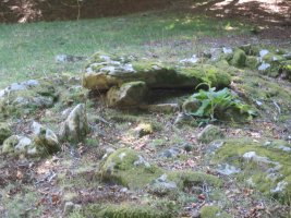 Dólmen Pagomakor   (Septiembre 2014)