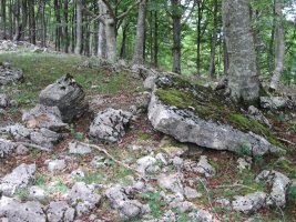 Menhir Baio Este   (Julio 2014)