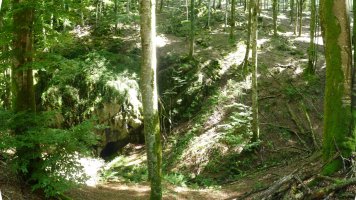 Harpea ala meategi itxia?