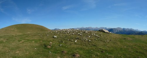 Largintia trikuharria