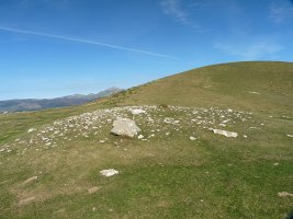 Largintia trikuharria