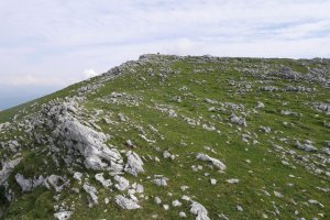 Uzkuiti Mendebaldeko bizkarretik