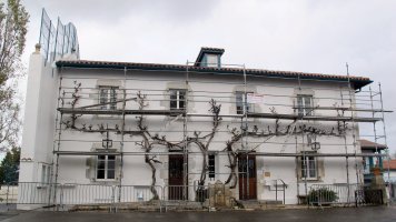 Udaletxea, Arrangoitze