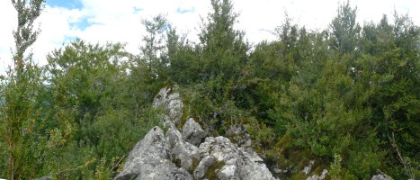 Gazteluzarreko gailurra