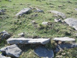 zista otanarteko lepoa