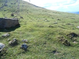 Otanarteko  lepoa harrespila