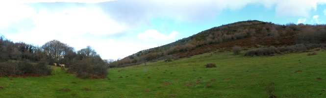 Ezperungo lepoa, eta Alastraingo gailurra