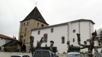 Asuncion eliza, Luhuso