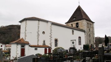 Asuncion eliza, Luhuso