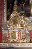 Asuncion eliza, Luhuso