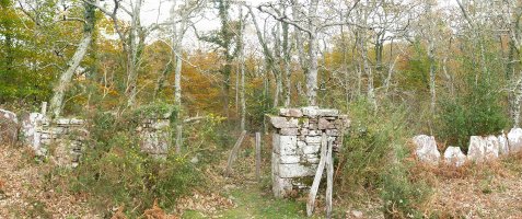 Bertizko ate zaharra, Otaltzuko lepoan