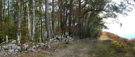 Irubagoetako gailurra