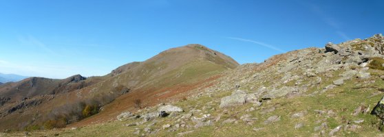 Auza, Antzolara jaisten den gandorretik