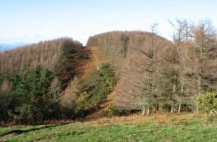 Tontorra Pertxele aldetik ikusita