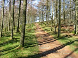 Tontorrerako bidean azken metroak