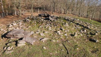 Igoringo lepoa 1 trikuharria