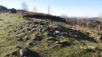 Igoringo lepoa 2 trikuharria