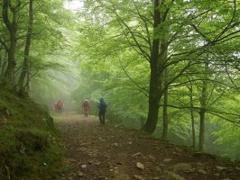 Ipizteren magaleko pagadia