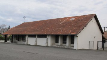 Trinidad eliza, Angelu